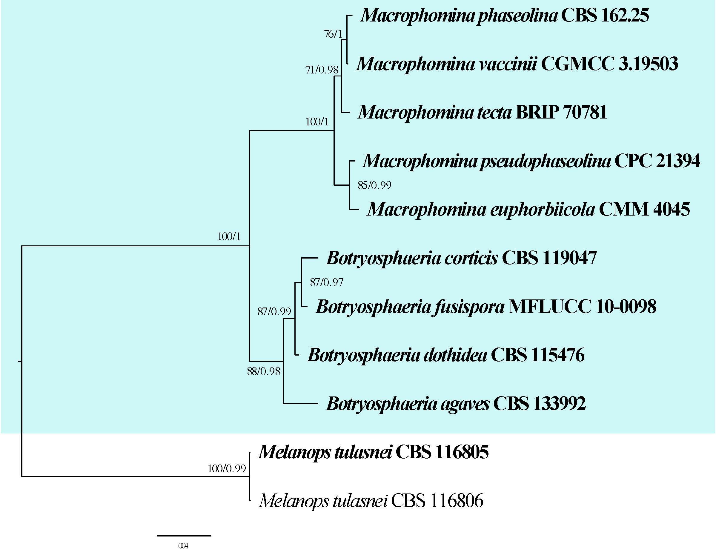 Figure 11